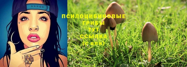 дмт Белоозёрский