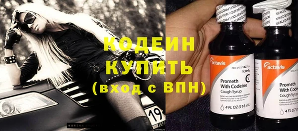дживик Белокуриха