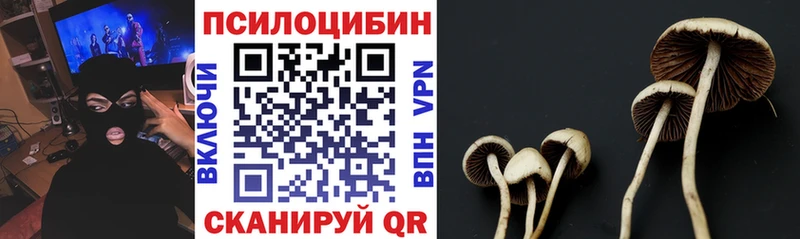 кракен ССЫЛКА  Нижнеудинск  Псилоцибиновые грибы мицелий 